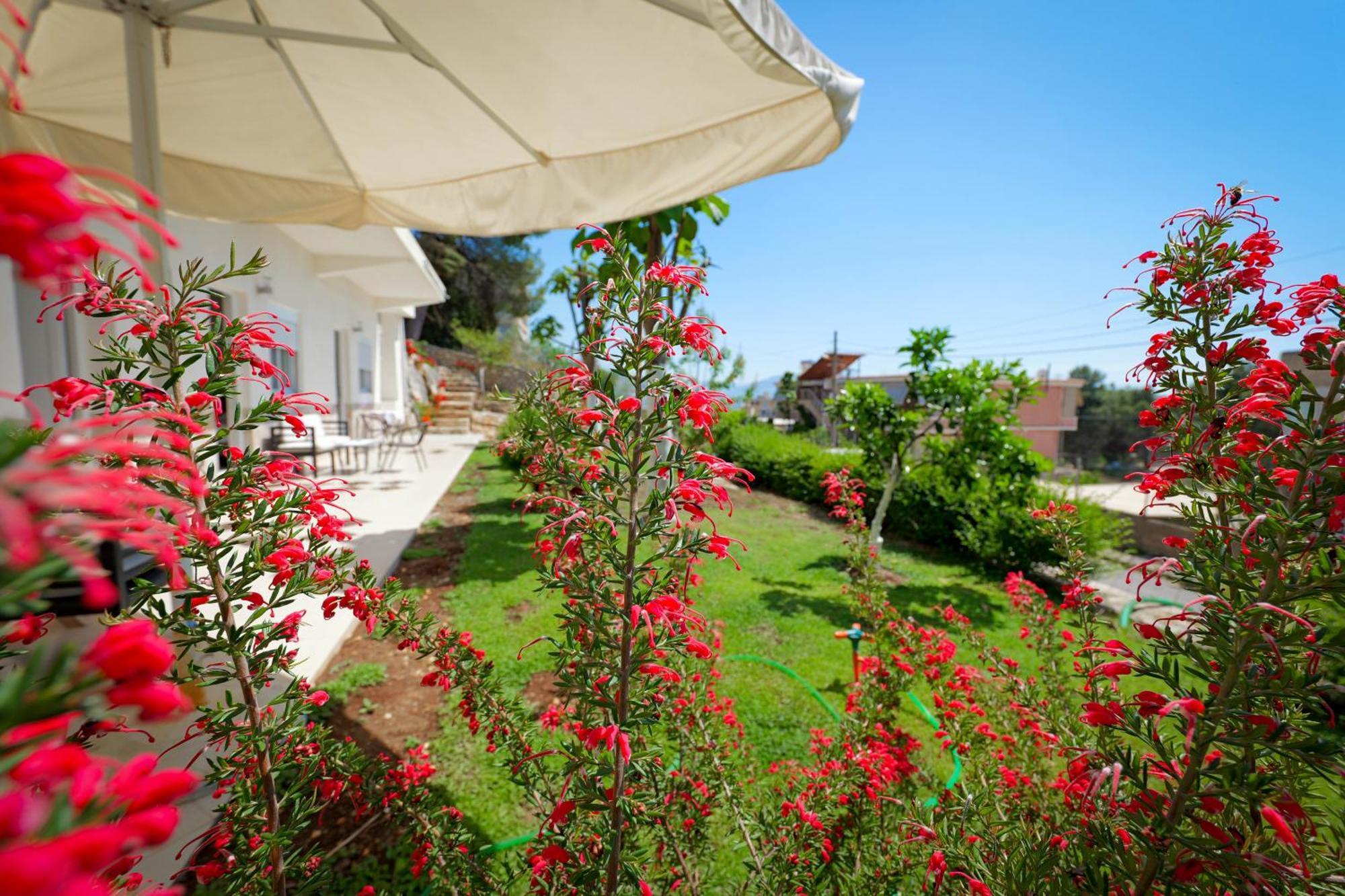 Flower Vila Sarandë Exteriér fotografie